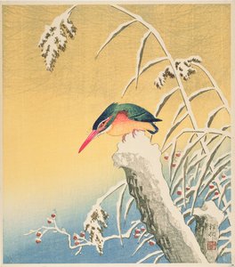 Kingfisher in the Snow, 1935